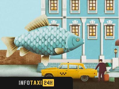 taxista Taxi Calders 8 Plazas