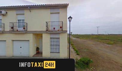 taxista Taxi Canales
