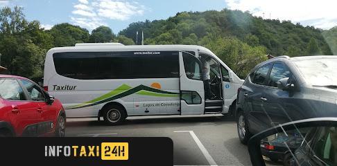 taxista Taxi Cangas De Onís Taxitur