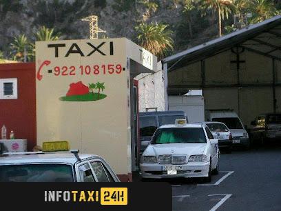 taxista Taxi Chani