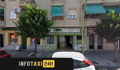 taxista Taxi David