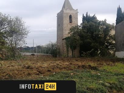 taxista Taxi De Tiana
