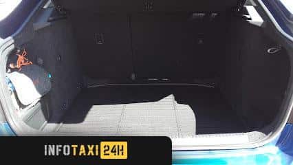 taxista Taxi Delgado