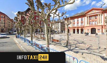 taxista Taxi Eibar 9 Plazas Adaptado