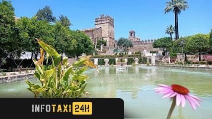 taxista Taxi En Écija