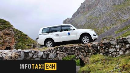 taxista Taxi Fernandez Cabrales