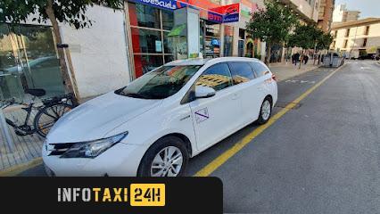 taxista Taxi Gandia Fer