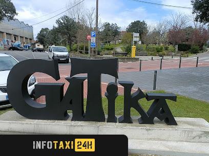 taxista Taxi Gatika