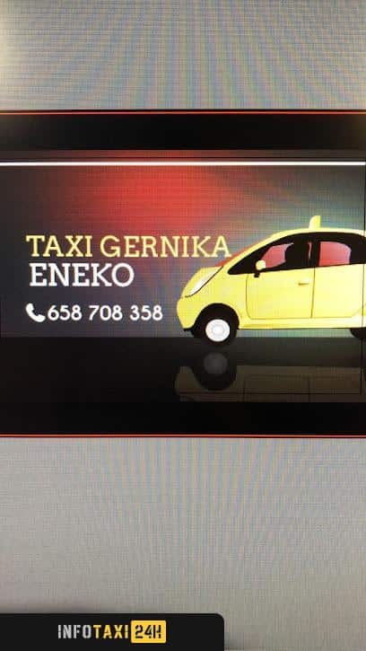 taxista Taxi Gernika Eneko