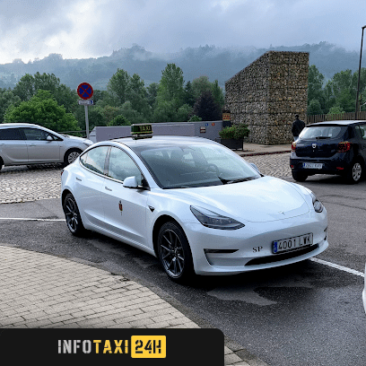 taxista Taxi Grado Tarrazo Tesla