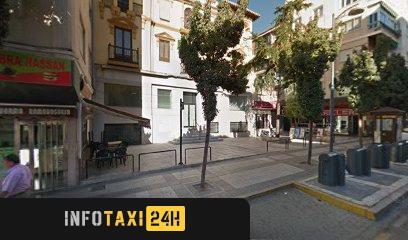 taxista Taxi Guadix