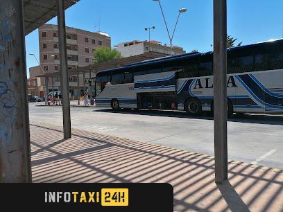 taxista Taxi Guardamar Central Taxis