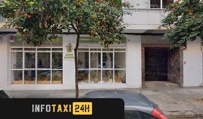taxista Taxi Horta Nord