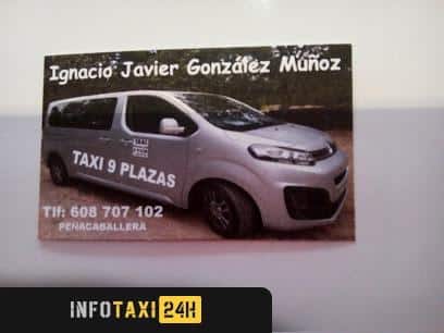 taxista Taxi Ignacio Javier González Muñoz