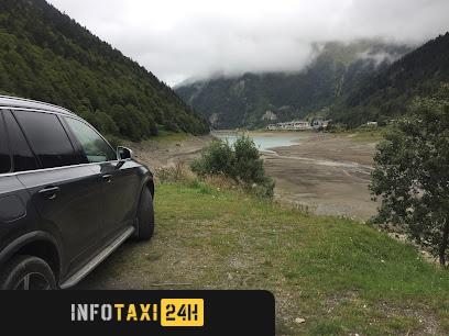 taxista Taxi Iñigo Urruti