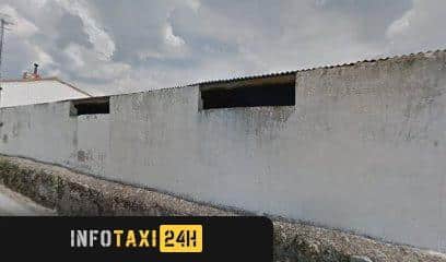 taxista Taxi Javi González Muñoz