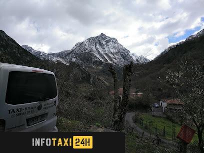 taxista Taxi Jorge Amieva