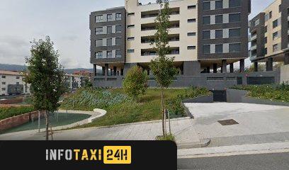 taxista Taxi Josu Arostegi Barandika