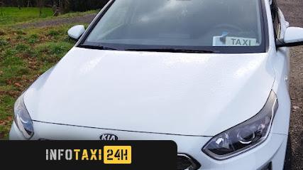 taxista Taxi Julio Arjones 24 Horas Mondariz balneario