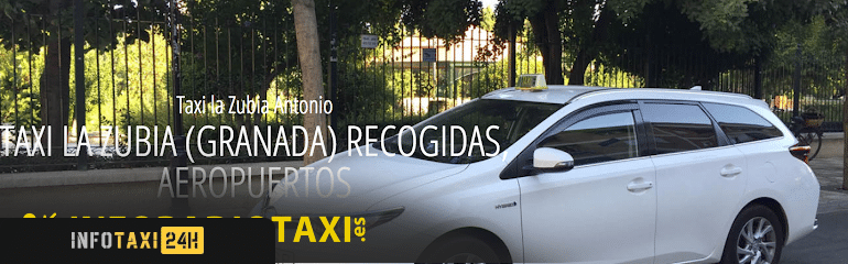 taxista Taxi La Zubia