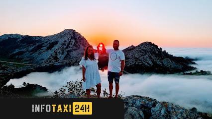 taxista Taxi Lagos De Covadonga Tour