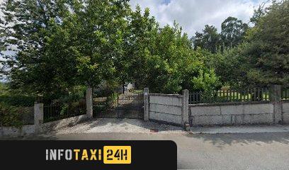taxista Taxi Lestedo