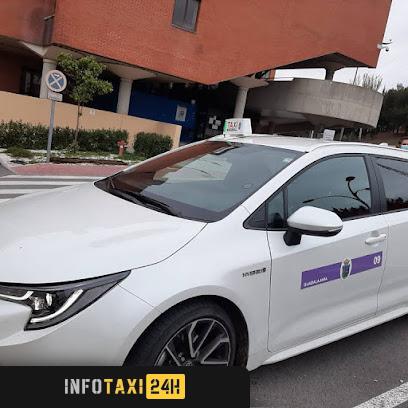 taxista Taxi Lramos