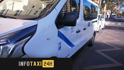 taxista Taxi Málaga 9 Plazas Minivan