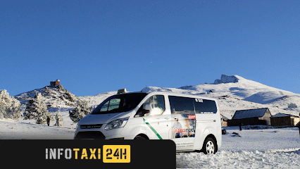 taxista Taxi María Inmaculada Molina Bedmar