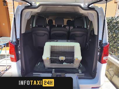 taxista Taxi Mojados