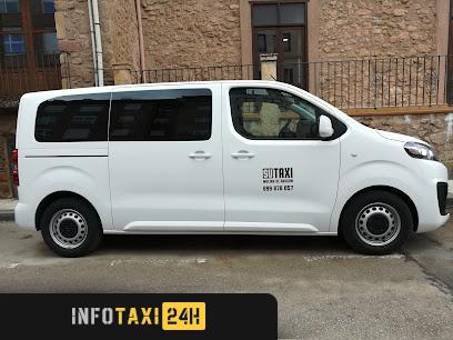 taxista Taxi Molina De Aragón Susana