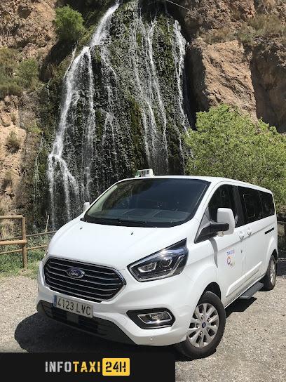 taxista Taxi Motril Mercedes | 5 9 Plazas