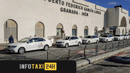 taxista Taxi Oficial Aeropuerto Granada