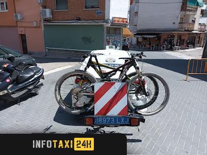 taxista Taxi Pelayos