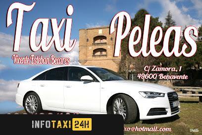 taxista Taxi Peleas 699488424