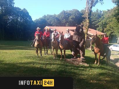 taxista Taxi Pili