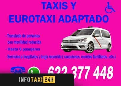 taxista Taxi Pinto Eurotaxi 5 Pasajeros