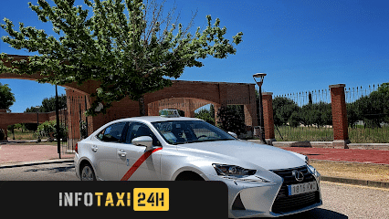 taxista Taxi Pinto Madrid