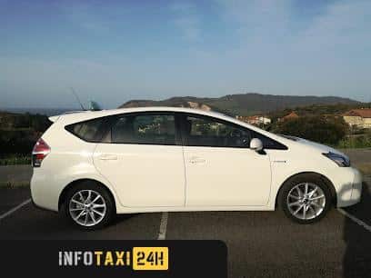 taxista Taxi Plentzia