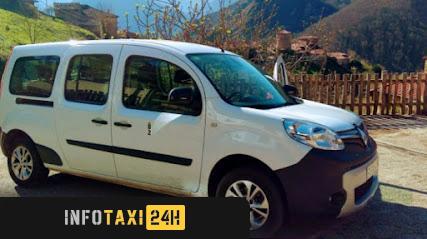 taxista Taxi Proaza Senda Del Oso Nedi