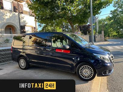 taxista Taxi Puente La Reina/gares María Carmen