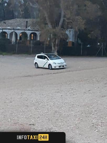 taxista Taxi Pulianas