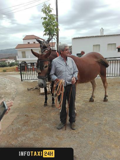 taxista Taxi Quintana Alpujarra