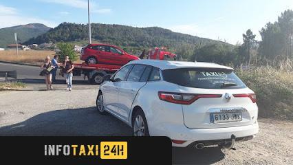 taxista Taxi Ribadavia Lorenzo Gonzalez 7 Plazas