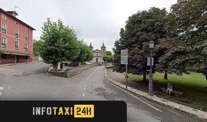 taxista Taxi Ribadedeva Manuel Llano