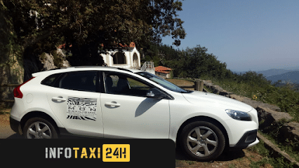 taxista Taxi Salas Marisa