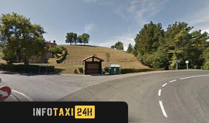 taxista Taxi Servicio