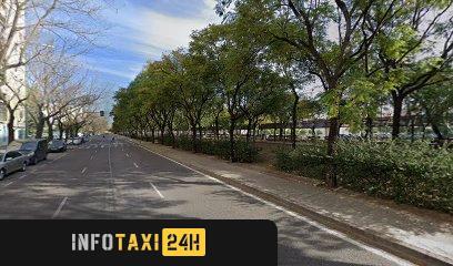 taxista Taxi Sevilla Viajes