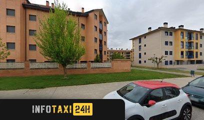 taxista Taxi Sinel