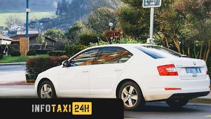 taxista Taxi Sodupe Aitor